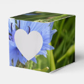 Blaublume Geschenkschachtel (Vorderseite)