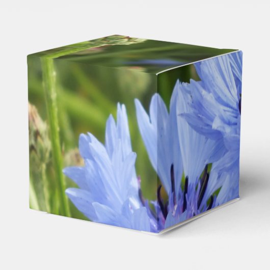 Blaublume Geschenkschachtel (Rückseite)