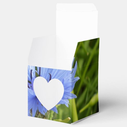 Blaublume Geschenkschachtel (Geöffnet)