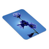 Blaublume Magnet (Rechte Seite)
