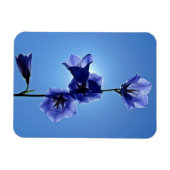Blaublume Magnet (Horizontal)