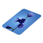 Blaublume Magnet (Linke Seite)
