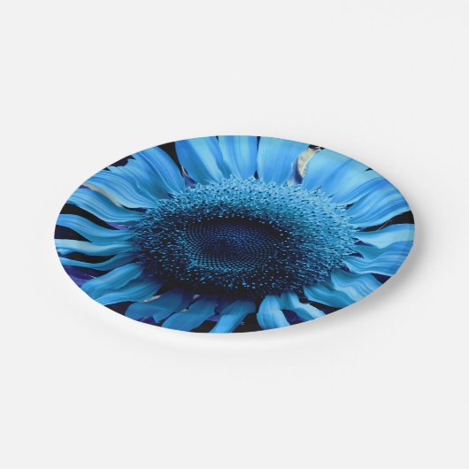 Blaublume Pappteller (Schrägansicht)