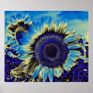 Blaublume Poster