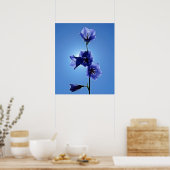 Blaublume Poster (Küche)