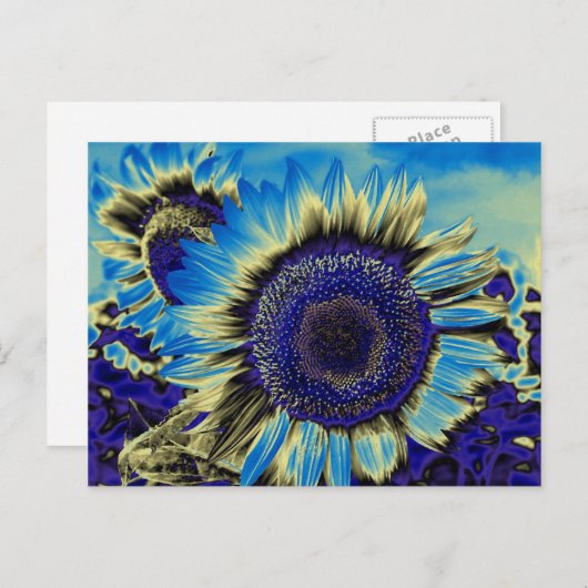 Blaublume Postkarte (Vorne/Hinten)