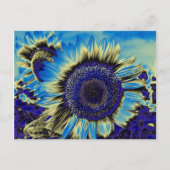 Blaublume Postkarte (Vorderseite)