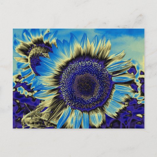 Blaublume Postkarte (Vorderseite)