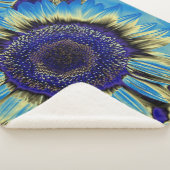 Blaublume Sherpadecke (3/4)