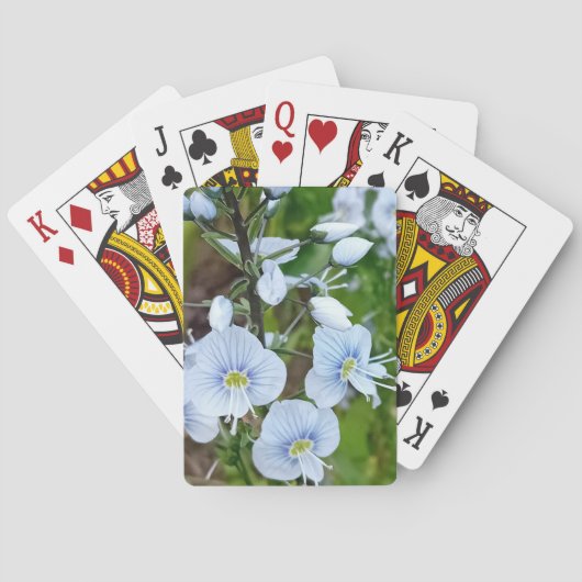 Blaublumen Spielkarten (Rückseite)