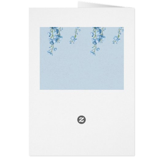 Blaublüter (Hinten)