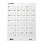 Blaubraune Diagonal Stripe Muster Einfach Streifen Adressaufkleber (Vorne)