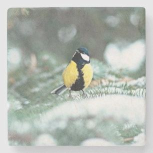 Blaue С Steinuntersetzer