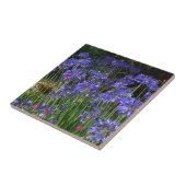 Blaue Agapanthus-Blumen-Fliese Fliese (Seite)