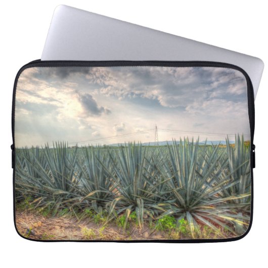 Blaue Agave Laptopschutzhülle (Vorderseite)