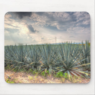 Blaue Agave Mousepad