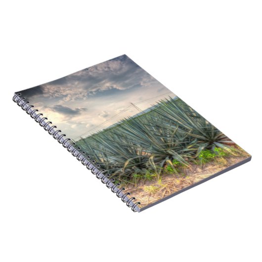 Blaue Agave Notizblock (Rechte Seite)