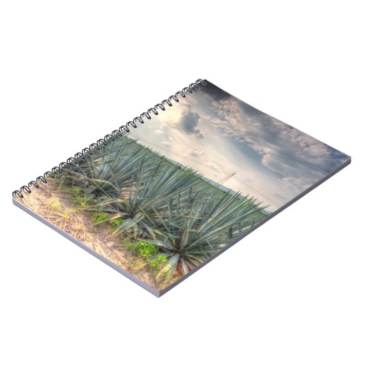 Blaue Agave Notizblock (Linke Seite)