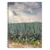 Blaue Agave Notizblock (Vorderseite)