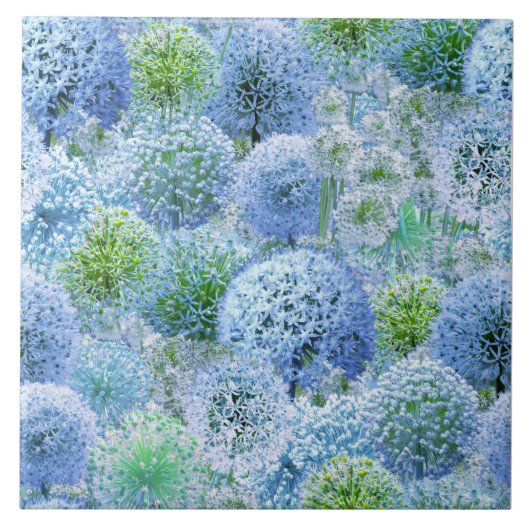 Blaue Alliums Fliese (Vorderseite)