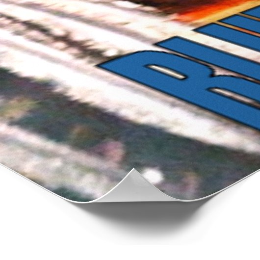 BLAUE AMAZON POSTER (Ecke)