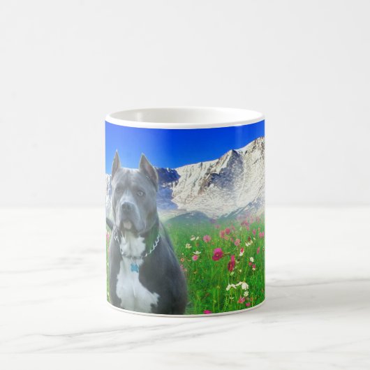 Blaue amerikanische Pitbull Terrier, Spiess-Spitze Kaffeetasse (Mittel)