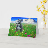 Blaue amerikanische Pitbull Terrier, Spiess-Spitze Karte (Gelbe Blume)