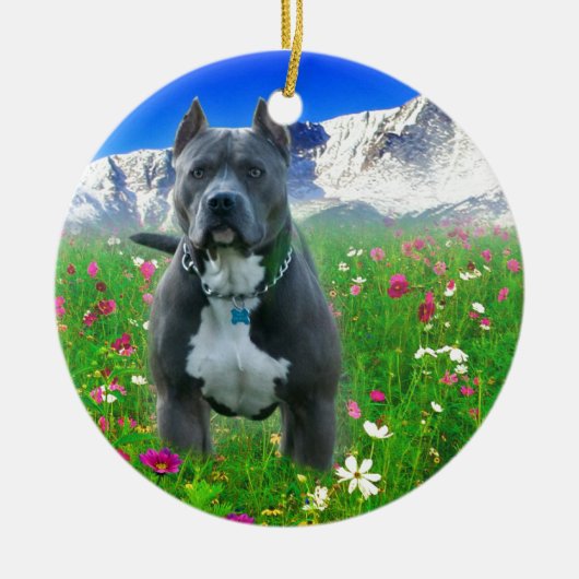 Blaue amerikanische Pitbull Terrier, Spiess-Spitze Keramik Ornament (Vorne)