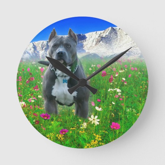 Blaue amerikanische Pitbull Terrier, Spiess-Spitze Runde Wanduhr (Vorderseite)