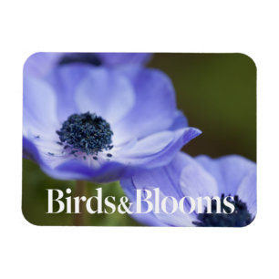 Blaue Anemone Magnet