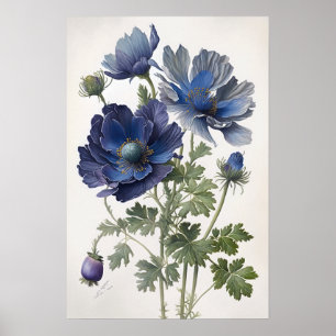 Blaue Anemonen-Blumen-Kunstposter Poster
