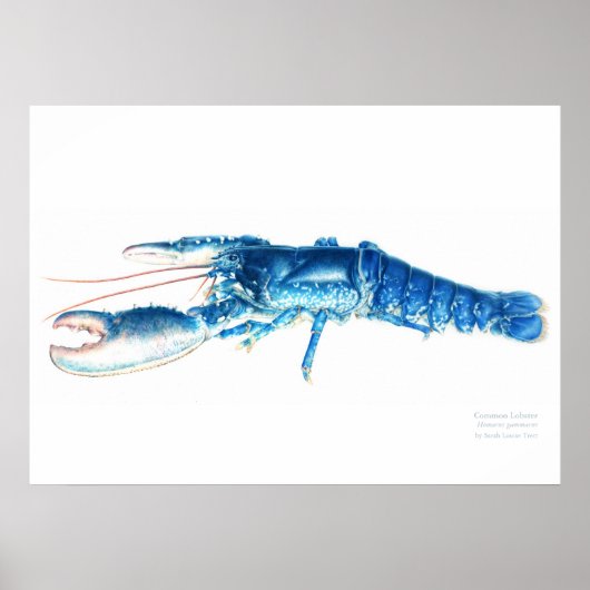 Blaue Aquarellkunst Großformat Poster (Vorne)