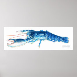 Blaue Aquarellkunst Poster