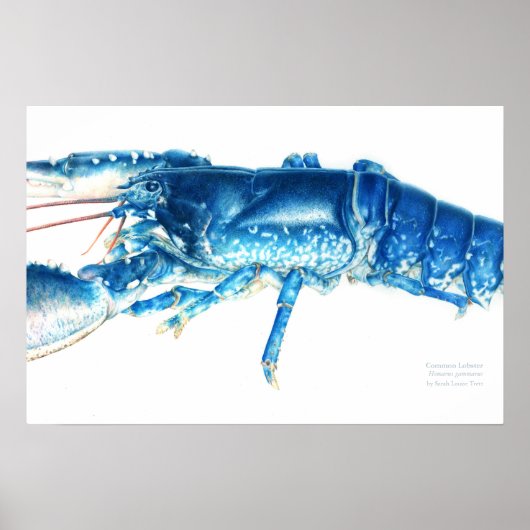 Blaue Aquarellkunst Poster (Vorne)