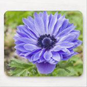 Blaue Aster-Blumen-Mausunterlage Mousepad (Vorne)