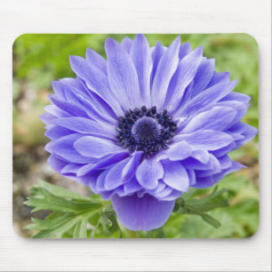 Blaue Aster-Blumen-Mausunterlage Mousepad