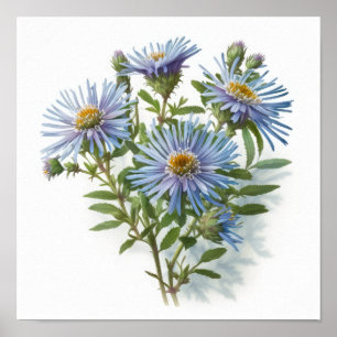 Blaue Aster-Blumenkunst Druck Poster