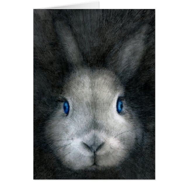BLAUE AUGEN (Vorne)
