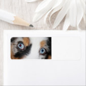 blaue Augen (Insitu)