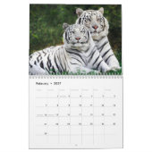 blaue Augen der weißen Tiger Kalender (Feb 2027)