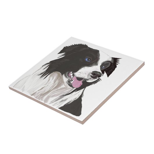 blaue Augen des Schwarzweiss-Collien Fliese (Seite)