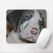 Blaue Augen Doggenwelpe Mousepad (Mit Mouse)