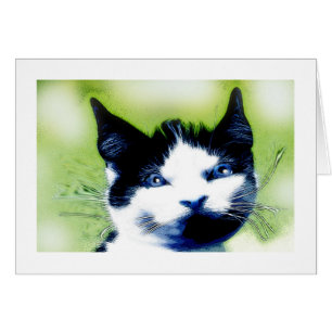 Blaue Augen Grußkarte