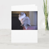 Blaue Augen, Karte (Vorderseite)