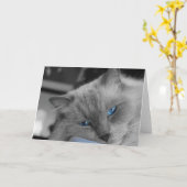 Blaue Augen Karte (Gelbe Blume)