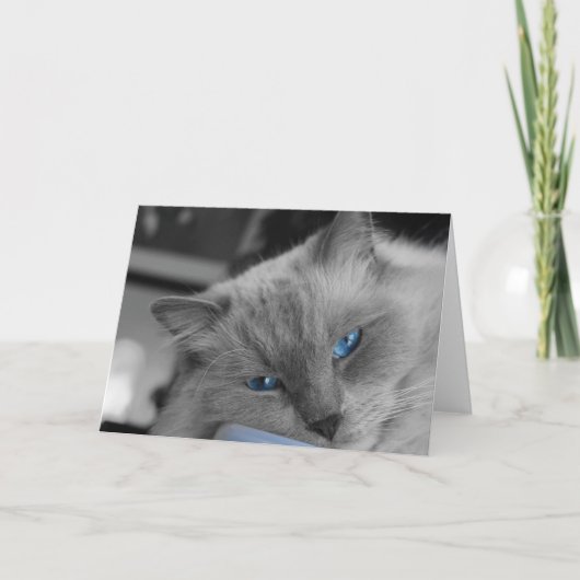 Blaue Augen Karte (Vorderseite)