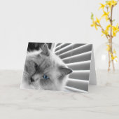 Blaue Augen, Karte (Gelbe Blume)