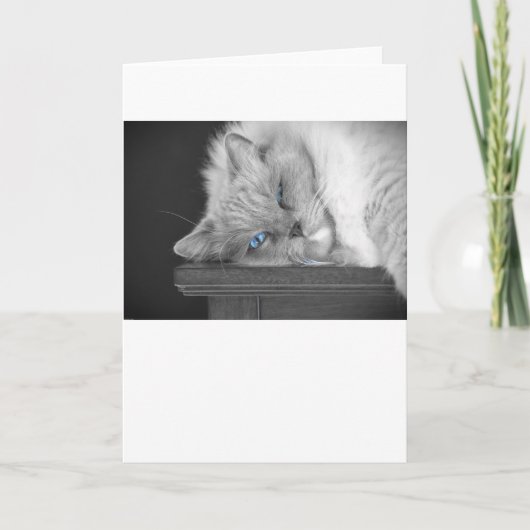 Blaue Augen, Karte (Vorderseite)