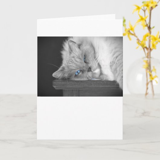 Blaue Augen, Karte (Gelbe Blume)