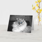 Blaue Augen, Karte (Gelbe Blume)